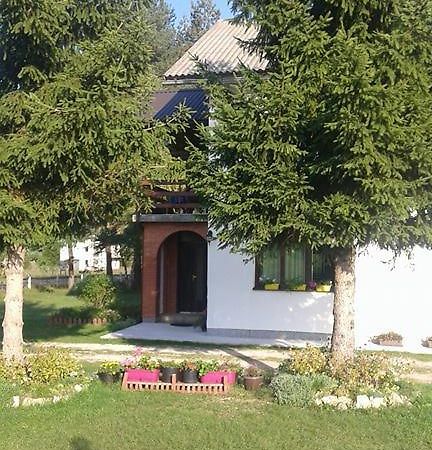 Rooms Danica Donji Babin Potok Exterior foto