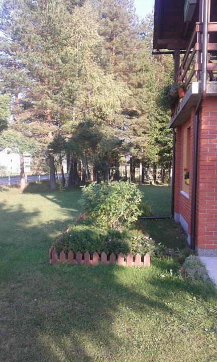 Rooms Danica Donji Babin Potok Exterior foto