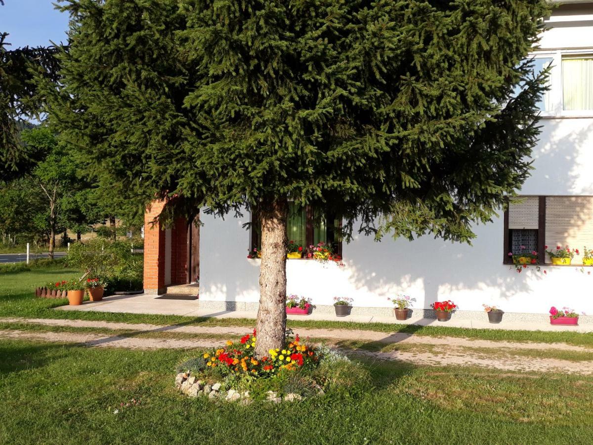 Rooms Danica Donji Babin Potok Exterior foto